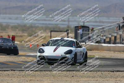 media/Mar-30-2025-Pro Autosports (Sun) [[34ff8f16e0]]/2-Blue-White Group/Main Race/